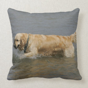 Golden Retriever in water Kussen