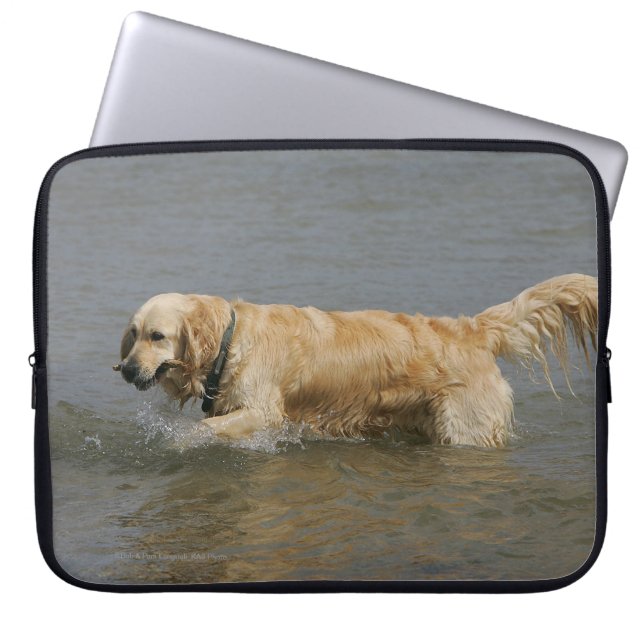Golden Retriever in water Laptop Sleeve (Voorkant)