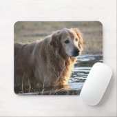Golden Retriever in water Muismat (Met muis)