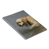 Golden Retriever in water Notitieboek (Rechterzijde)