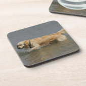 Golden Retriever in water Onderzetter (Linkerzijde)