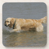 Golden Retriever in water Onderzetter (Voorkant)