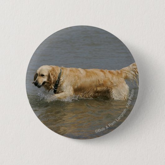 Golden Retriever in water Ronde Button 5,7 Cm (Voorkant)
