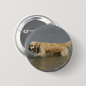 Golden Retriever in water Ronde Button 5,7 Cm (Voorkant /achterkant)