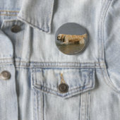 Golden Retriever in water Ronde Button 5,7 Cm (In situ)