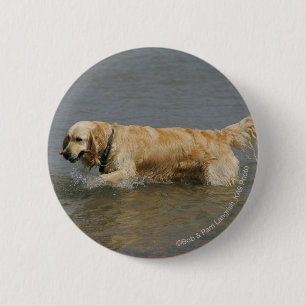 Golden Retriever in water Ronde Button 5,7 Cm