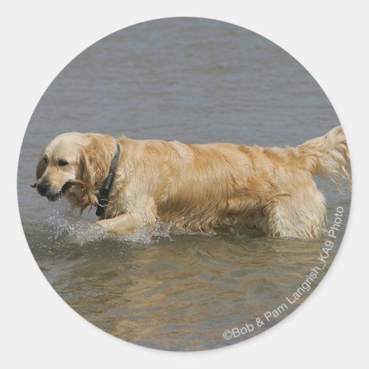 Golden Retriever in water Ronde Sticker (Voorkant)