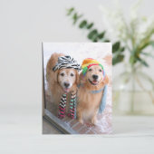 Golden Retriever in Winter Clothes Briefkaart (Staand voorkant)