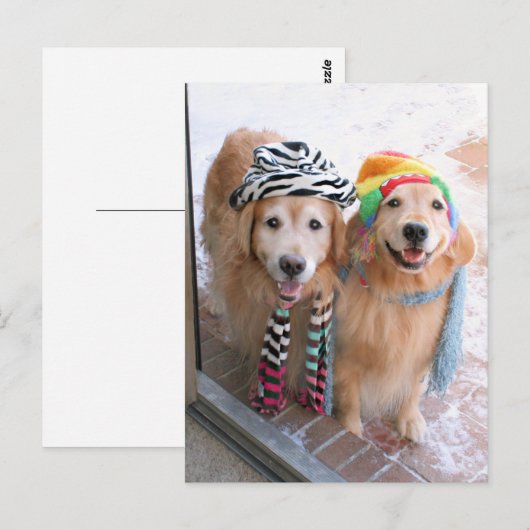 Golden Retriever in Winter Clothes Briefkaart (Voorkant / Achterkant)