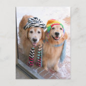 Golden Retriever in Winter Clothes Briefkaart (Voorkant)