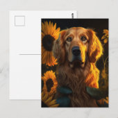 Golden Retriever in zonnebloemveld - Briefkaart (Voorkant / Achterkant)