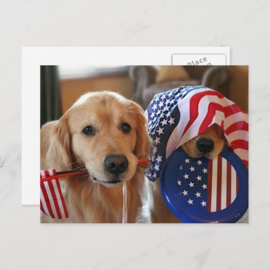 Golden Retriever Independence Day Briefkaart (Voorkant / Achterkant)