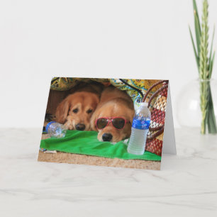 Golden Retriever Indoor Picnic Wenskaart Kaart