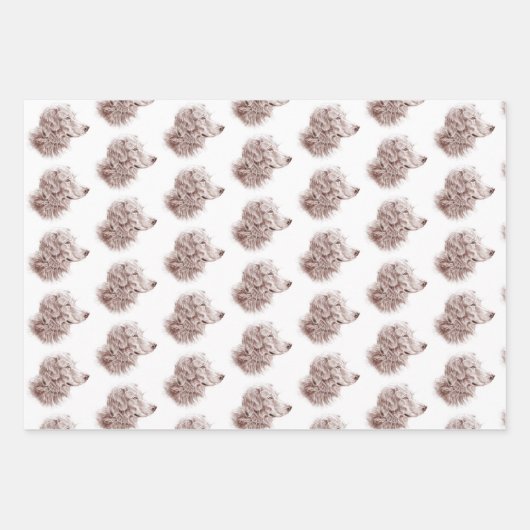 Golden Retriever Inpakpapier Vel (Voorkant 3)