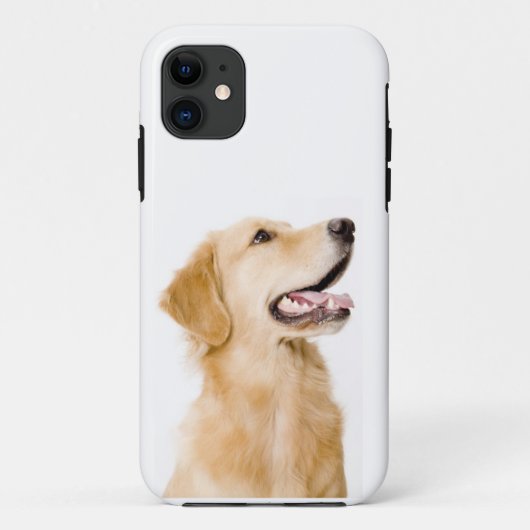 Golden Retriever iPhone Case (Achterkant)