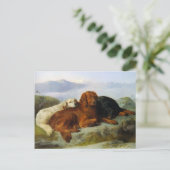 Golden Retriever, Irish and Gordon Setter Briefkaa Briefkaart (Staand voorkant)
