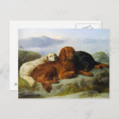 Golden Retriever, Irish and Gordon Setter Briefkaa Briefkaart (Voorkant / Achterkant)