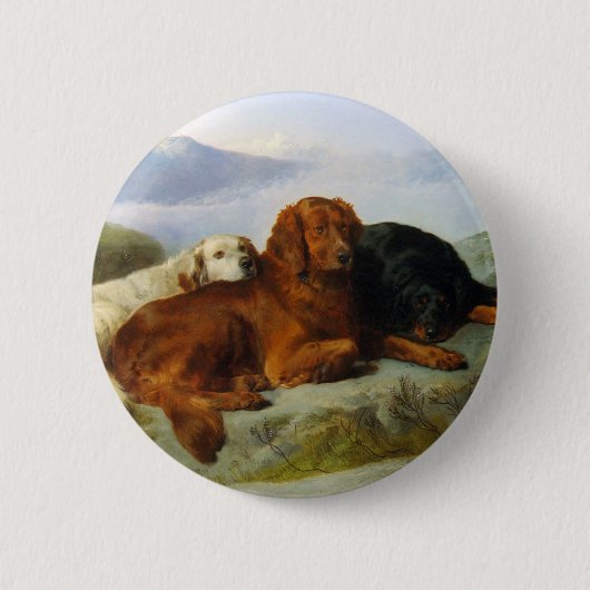 Golden Retriever, Irish and Gordon Setter Button (Voorkant)
