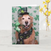 Golden Retriever Irish St. Patrick's Day Kaart (Gele Bloem)