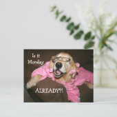 Golden Retriever is al maandag Briefkaart (Staand voorkant)