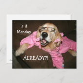 Golden Retriever is al maandag Briefkaart (Voorkant / Achterkant)