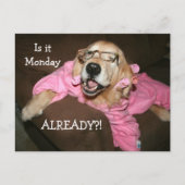 Golden Retriever is al maandag Briefkaart (Voorkant)