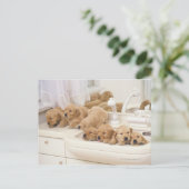 Golden Retriever; is een relatief modern en 2 Briefkaart (Staand voorkant)