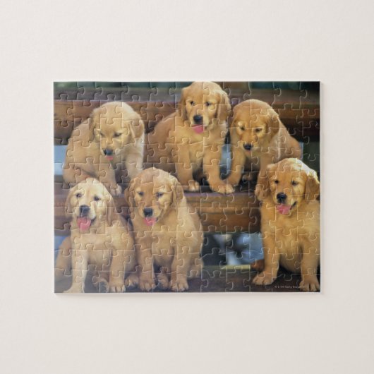 Golden Retriever; is een relatief modern en Legpuzzel (Horizontaal)