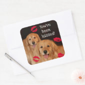 Golden Retriever Je bent gekust Vierkante Sticker (Envelop)