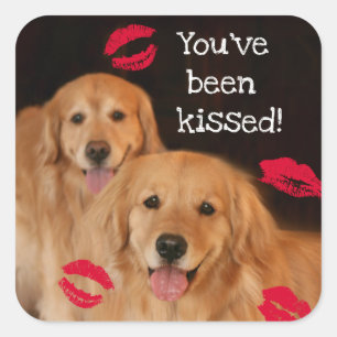 Golden Retriever Je bent gekust Vierkante Sticker