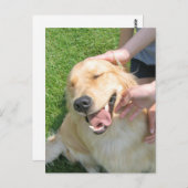 Golden Retriever je deed het feliciteren Briefkaart (Voorkant / Achterkant)