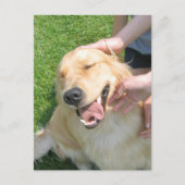 Golden Retriever je deed het feliciteren Briefkaart (Voorkant)