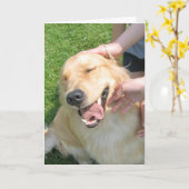 Golden Retriever je deed het feliciteren Kaart (Gele Bloem)