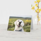 Golden Retriever "Je maakt me glimlachen" Wenskaar Kaart (Gele Bloem)