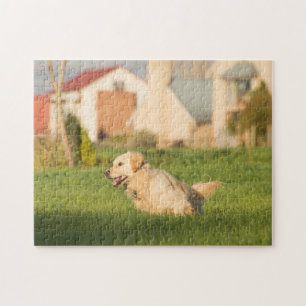 Golden Retriever Jig Saw Puzzle Legpuzzel
