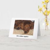 Golden Retriever Jubileum Kaart, beter samen Kaart (Gele Bloem)