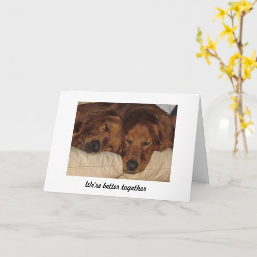 Golden Retriever Jubileum Kaart, beter samen Kaart (Gele Bloem)