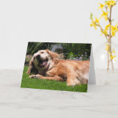 Golden Retriever Kaart (Gele Bloem)