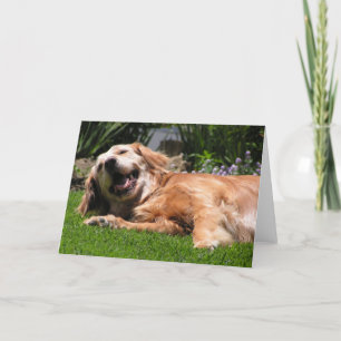 Golden Retriever Kaart