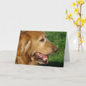 Golden Retriever Kaart (Gele Bloem)