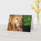 Golden Retriever Kaart (Gele Bloem)