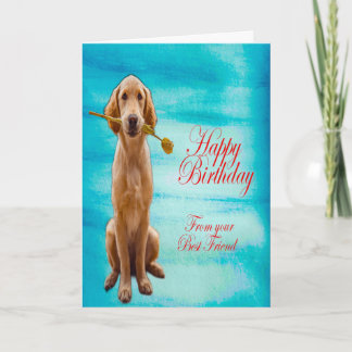 Golden Retriever Kaart