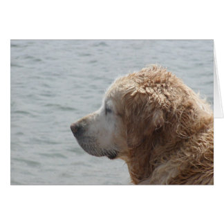 Golden Retriever-kaart