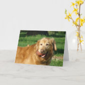 Golden Retriever Kaart (Gele Bloem)
