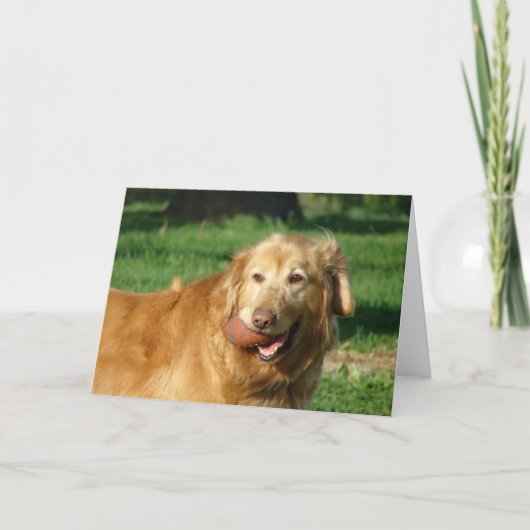 Golden Retriever Kaart (Voorkant)