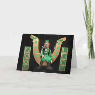Golden Retriever Kabouter St. Patrick's Day Schomm Feestdagen Kaart