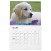 Golden Retriever Kalender (Mar 2027)