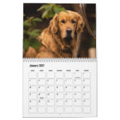 Golden Retriever Kalender (Jan 2027)