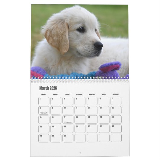 Golden Retriever Kalender (Mar 2026)