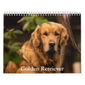 Golden Retriever Kalender (Hoes)